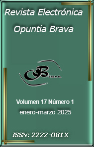 					Ver Vol. 17 Núm. 1 (2025)
				