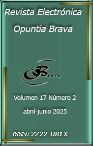 					Ver Vol. 17 Núm. 2 (2025)
				