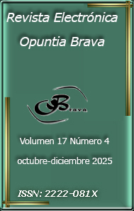 Ver Vol. 17 Núm. 4 (2025)