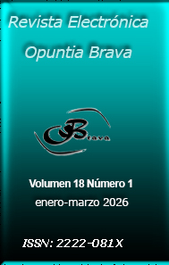 					Ver Vol. 18 Núm. 1 (2026): (publicación continua)
				